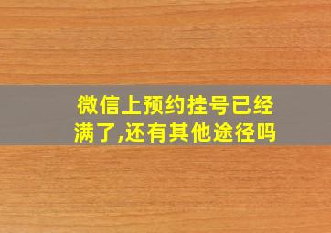 微信上预约挂号已经满了,还有其他途径吗