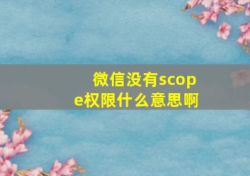 微信没有scope权限什么意思啊