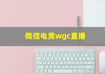 微信电竞wgc直播