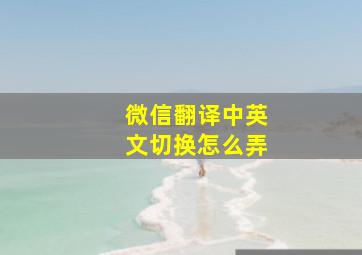 微信翻译中英文切换怎么弄