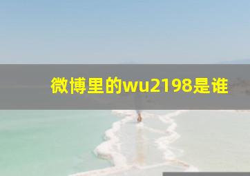 微博里的wu2198是谁