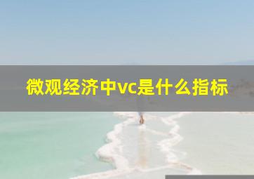 微观经济中vc是什么指标