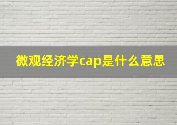 微观经济学cap是什么意思