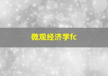 微观经济学fc