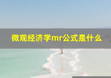 微观经济学mr公式是什么