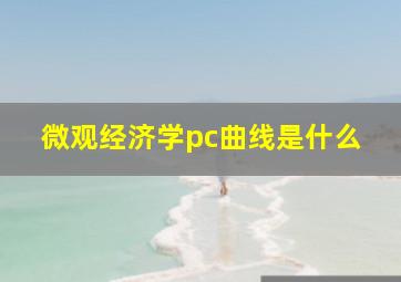 微观经济学pc曲线是什么