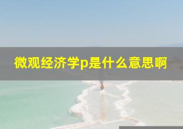 微观经济学p是什么意思啊