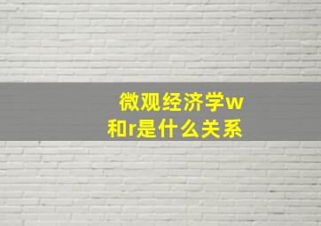 微观经济学w和r是什么关系