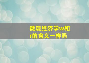 微观经济学w和r的含义一样吗