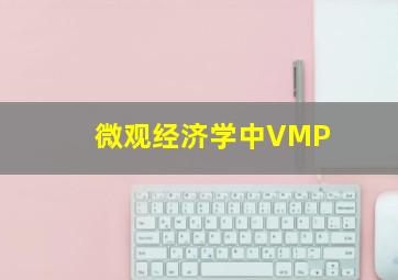 微观经济学中VMP