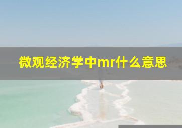 微观经济学中mr什么意思