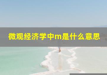 微观经济学中m是什么意思