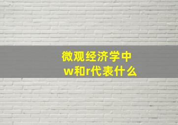 微观经济学中w和r代表什么