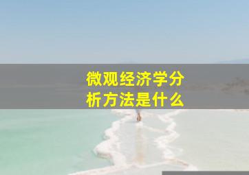 微观经济学分析方法是什么