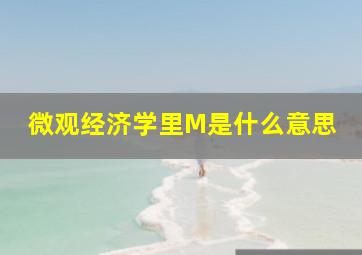 微观经济学里M是什么意思