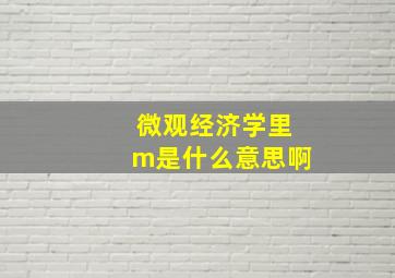 微观经济学里m是什么意思啊