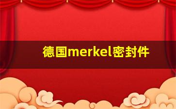 德国merkel密封件