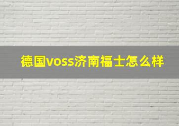 德国voss济南福士怎么样