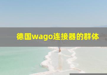 德国wago连接器的群体