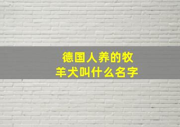 德国人养的牧羊犬叫什么名字