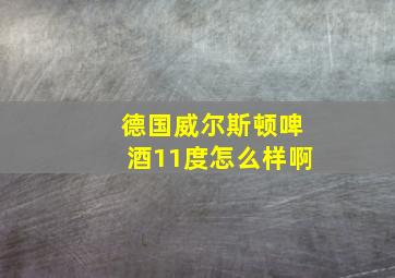 德国威尔斯顿啤酒11度怎么样啊