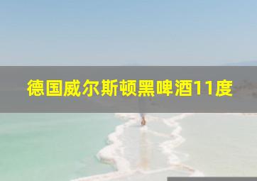 德国威尔斯顿黑啤酒11度