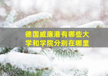 德国威廉港有哪些大学和学院分别在哪里