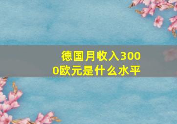 德国月收入3000欧元是什么水平