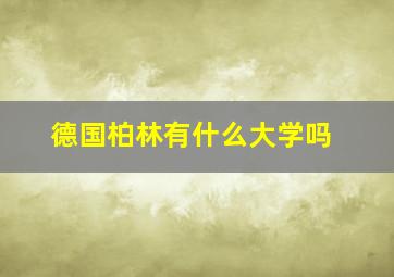 德国柏林有什么大学吗