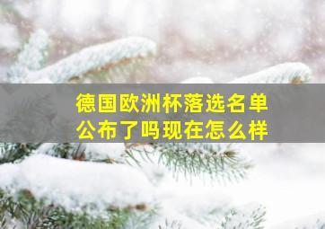 德国欧洲杯落选名单公布了吗现在怎么样