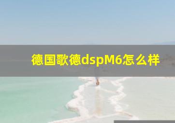 德国歌德dspM6怎么样