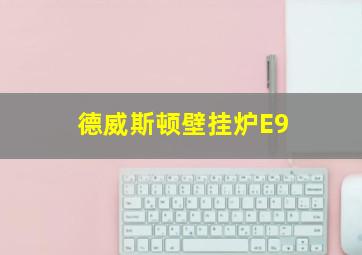 德威斯顿壁挂炉E9