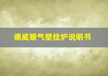 德威暖气壁挂炉说明书