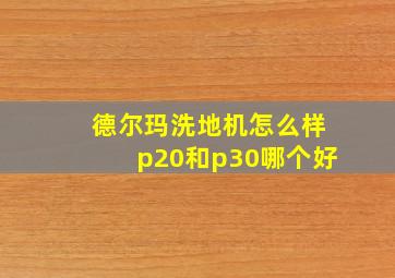 德尔玛洗地机怎么样p20和p30哪个好