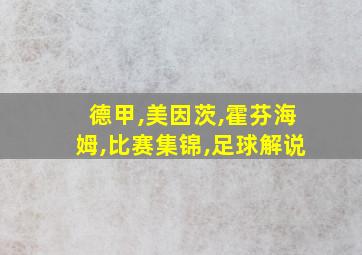 德甲,美因茨,霍芬海姆,比赛集锦,足球解说