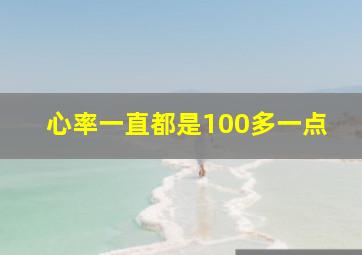 心率一直都是100多一点