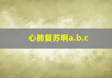 心肺复苏啊a.b.c