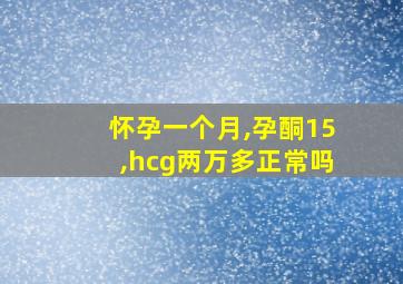 怀孕一个月,孕酮15,hcg两万多正常吗