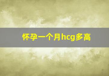 怀孕一个月hcg多高