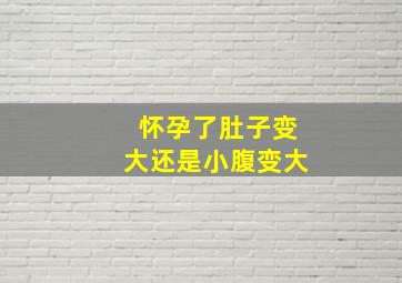 怀孕了肚子变大还是小腹变大