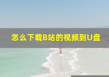 怎么下载B站的视频到U盘