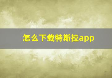 怎么下载特斯拉app