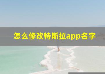 怎么修改特斯拉app名字