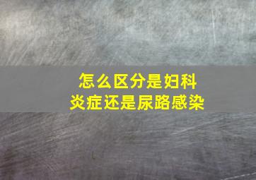 怎么区分是妇科炎症还是尿路感染