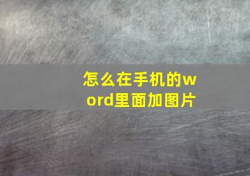 怎么在手机的word里面加图片