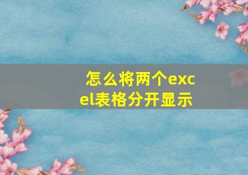 怎么将两个excel表格分开显示