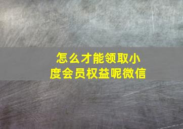 怎么才能领取小度会员权益呢微信