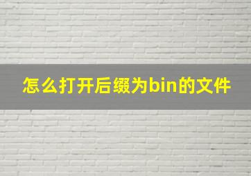 怎么打开后缀为bin的文件