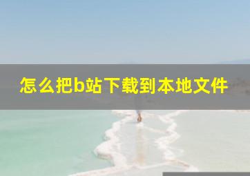 怎么把b站下载到本地文件