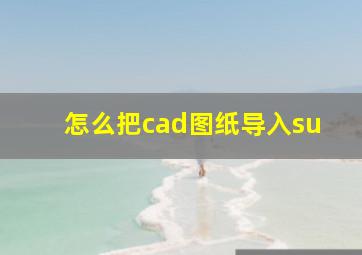 怎么把cad图纸导入su